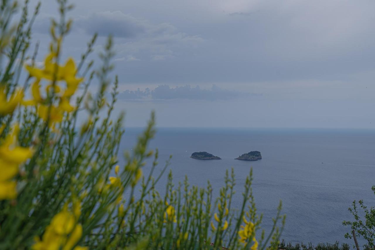 Villa La Pace Sant'Agnello Exterior foto